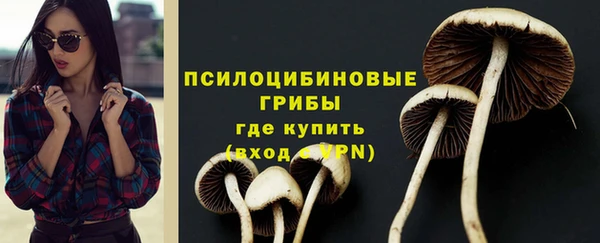 гидра Алзамай