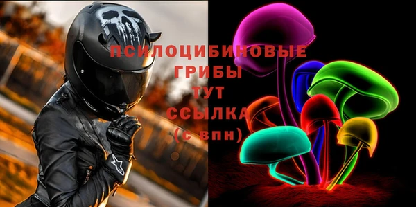 гидра Алзамай