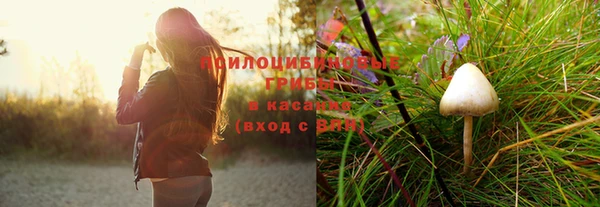 гидра Алзамай